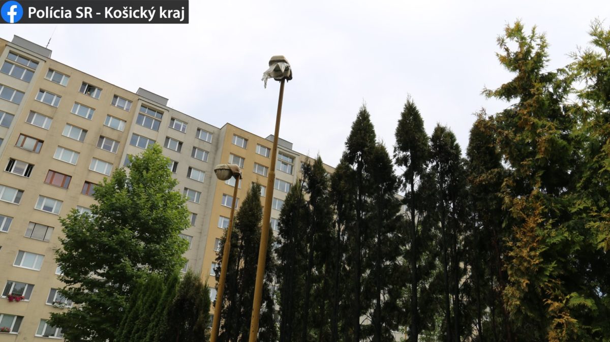 požiar, podpálené stromy, Košice