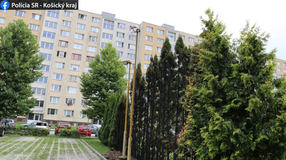 požiar, podpálené stromy, Košice
