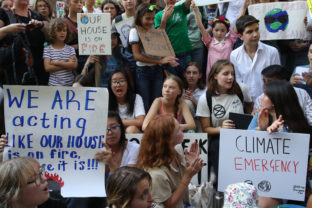 Greta Thunberg, protest