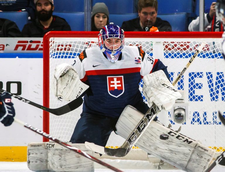 slovensko, hokej, 20 rokov