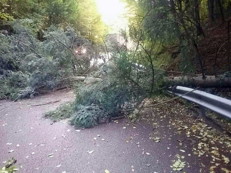 hasiči, silný vietor