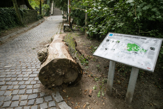 BRATISLAVA: Prechádzka Horským parkom s primátorom