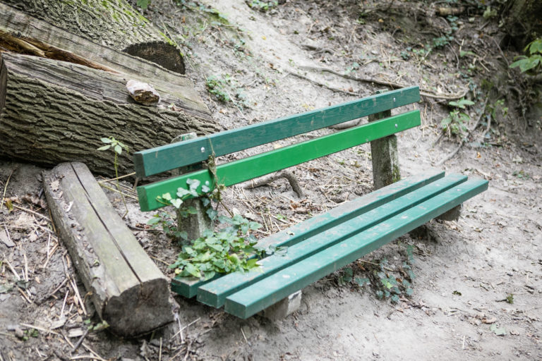 BRATISLAVA: Prechádzka Horským parkom s primátorom