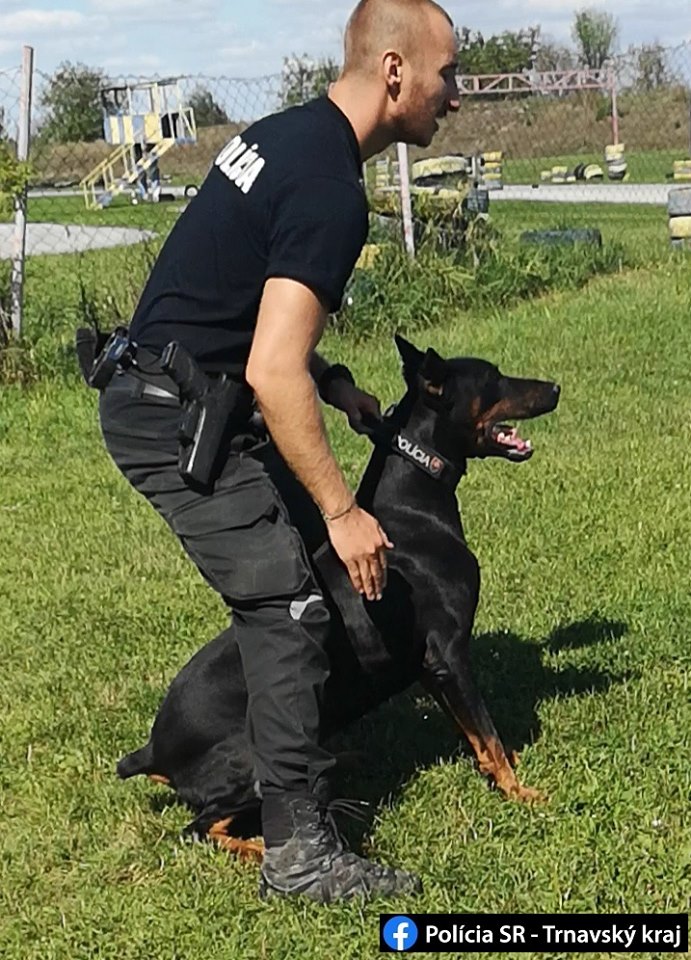 ukradnutý trezor, policajný pes Iron