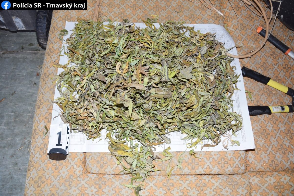 drogy, Dunajská Streda