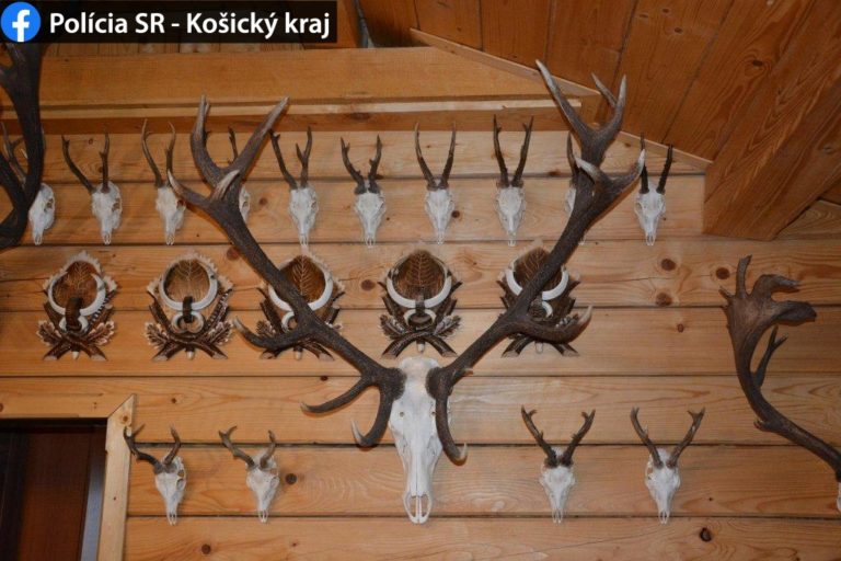 pytliaci, Rožňava