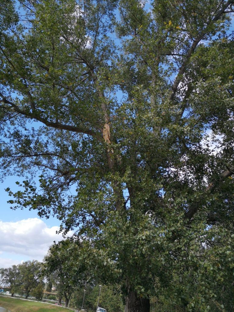 hasiči, silný vietor, obeť