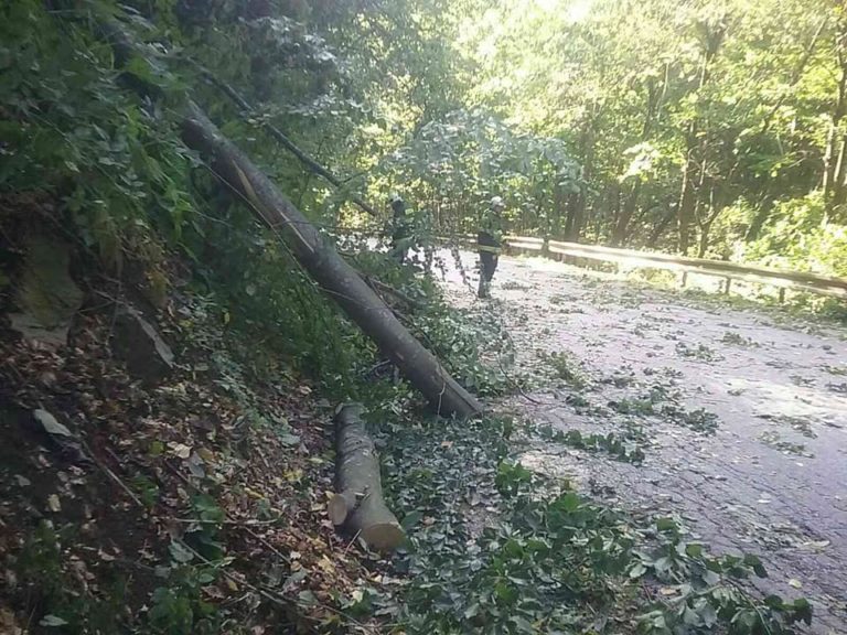 hasiči, silný vietor