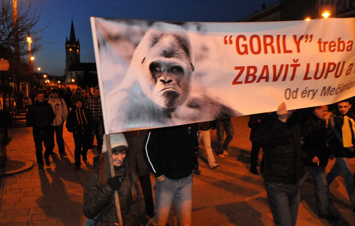 Gorila, protest
