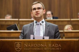 Martin Fedor, Národná rada SR