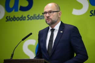 Richard Sulík, Sloboda a Solidarita (SaS)