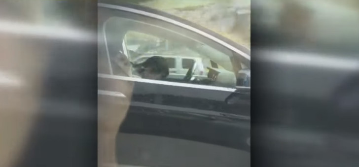 tesla, spiaci šofér