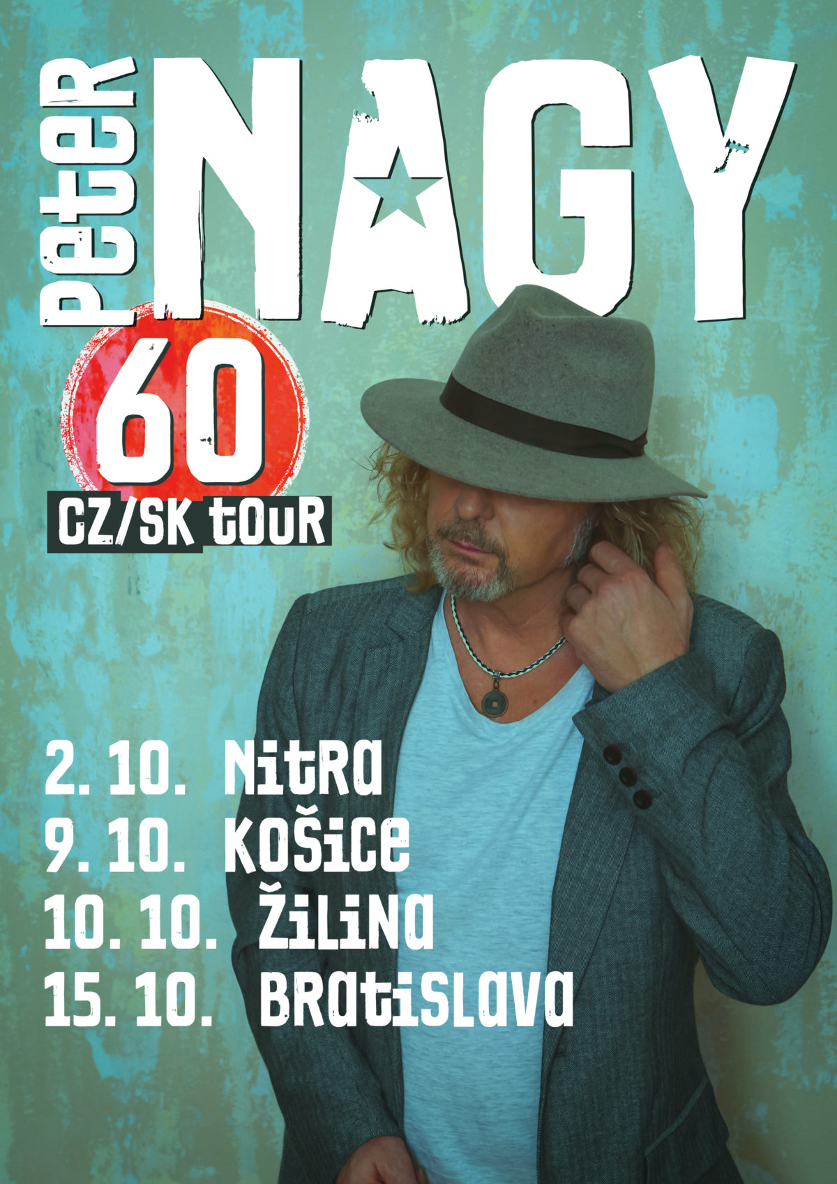 Vizual 60 tour.jpg