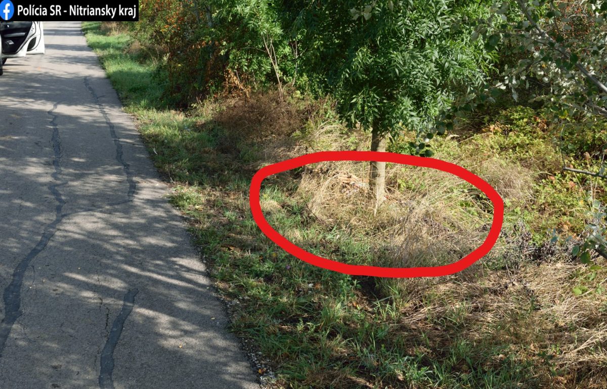mŕtve zvieratá, Mojzesovo