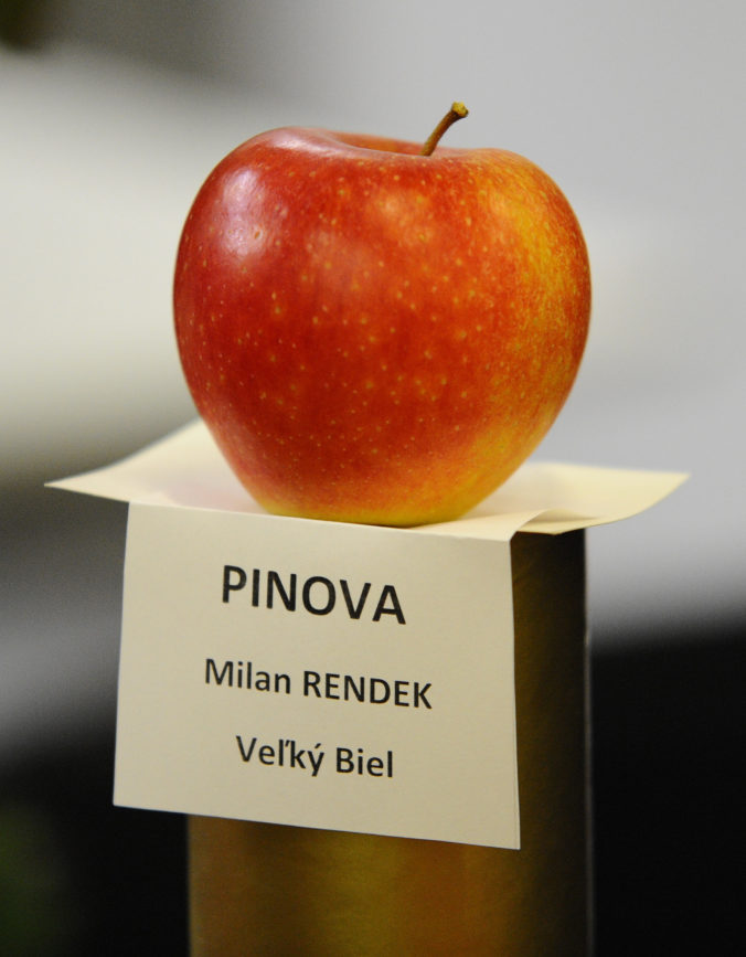 VÝSTAVA: Jahrada 2019