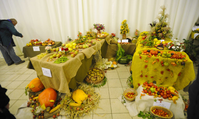 VÝSTAVA: Jahrada 2019