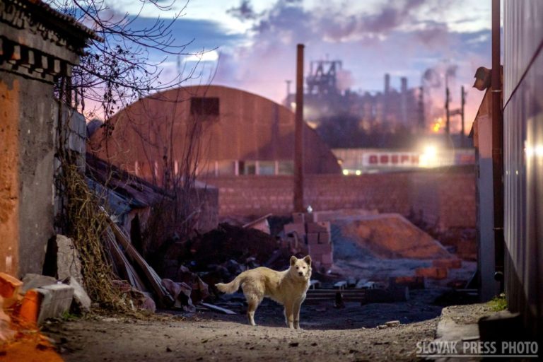 SLOVAK PRESS PHOTO: Výsledky súťaže