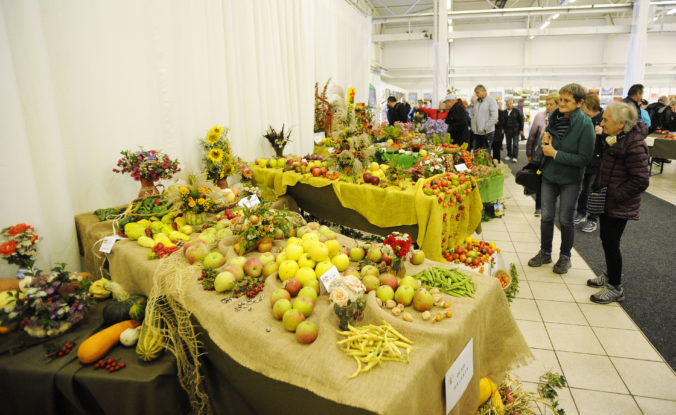 VÝSTAVA: Jahrada 2019
