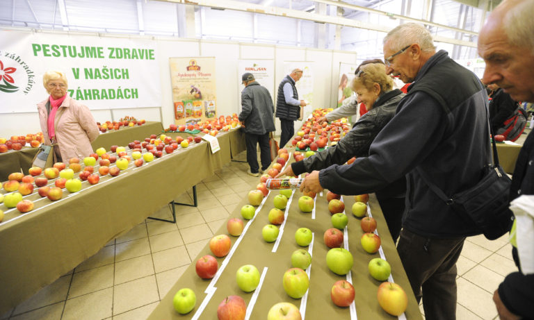 VÝSTAVA: Jahrada 2019