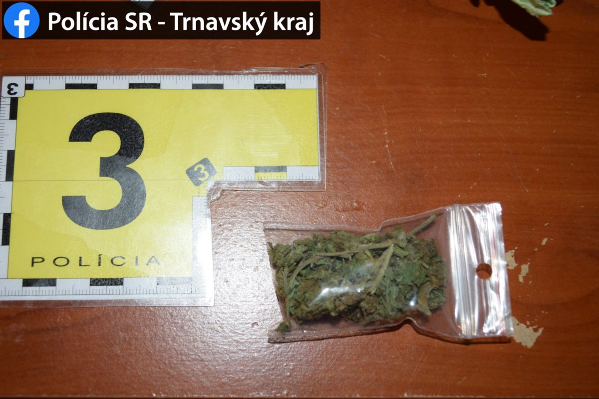 drogový díler, polícia, metamfetamín, konope