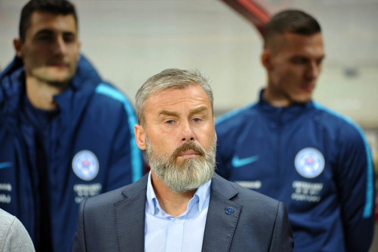 Slovensko - Wales, kvalifikácia o postup na ME 2020, Pavel Hapal