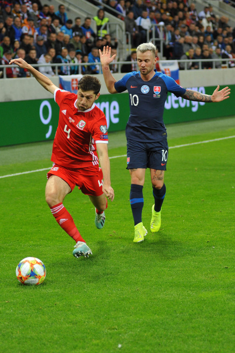 Slovensko - Wales, kvalifikácia o postup na ME 2020, Ben Davies, Albert Rusnák