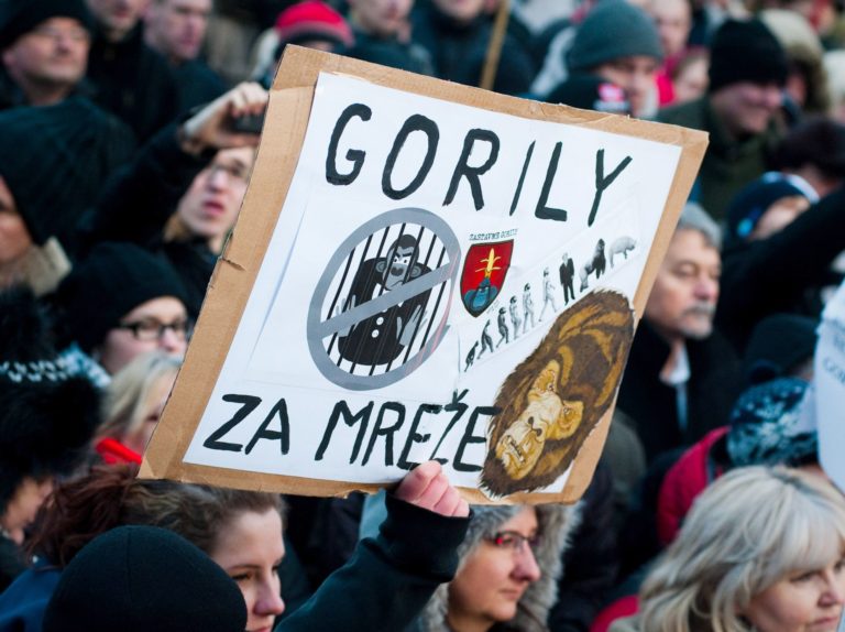 Kauza Gorila