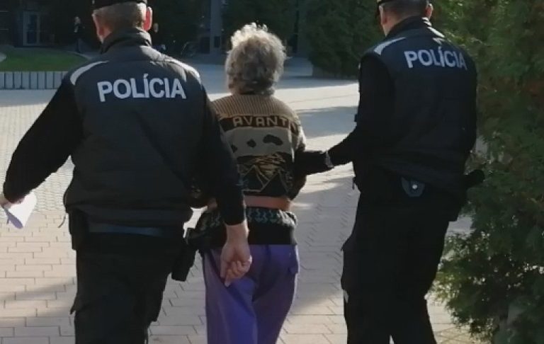 útok palicou, opitá žena