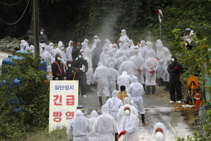 prasacia chrípka, Južná Kórea