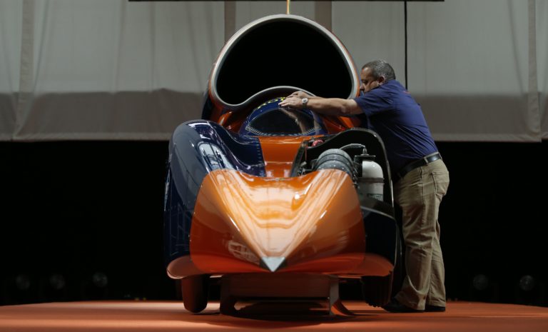 Bloodhound