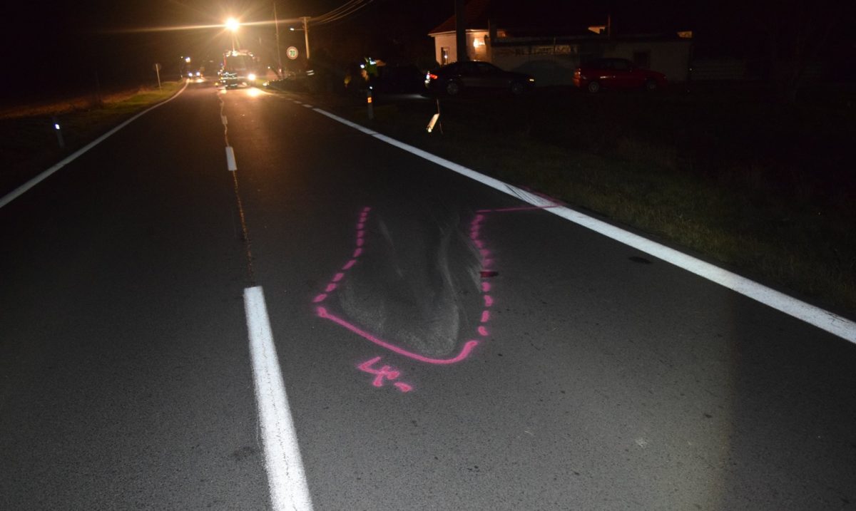 BMW, opitý vodič, dopravná nehoda