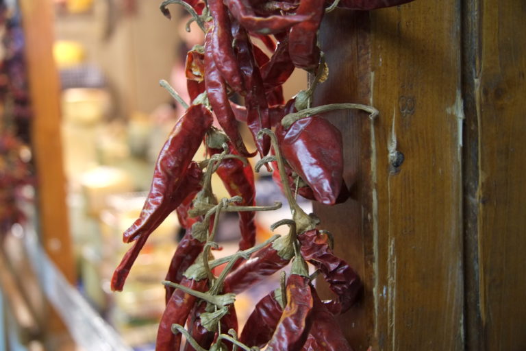 Veľtrh Gastra&kulinária 2019, Nitra