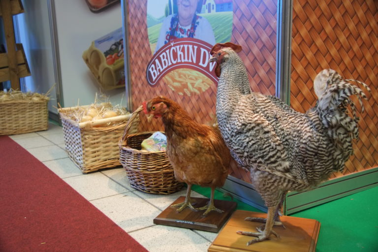 Veľtrh Gastra&kulinária 2019, Nitra