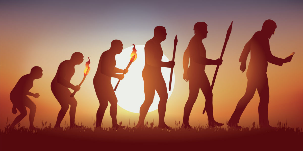 Evolúcia