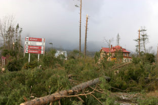 Vysoké Tatry, veterná smrsť, rok 2004