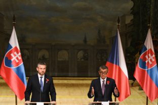 Peter Pellegrini, Andrej Babiš