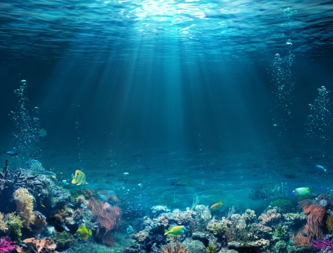 Podmorský svet, oceán