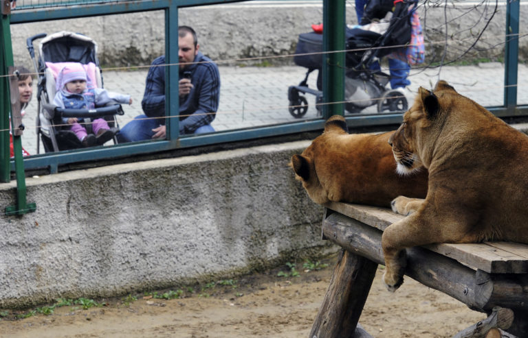 Zoologická záhrada Košice