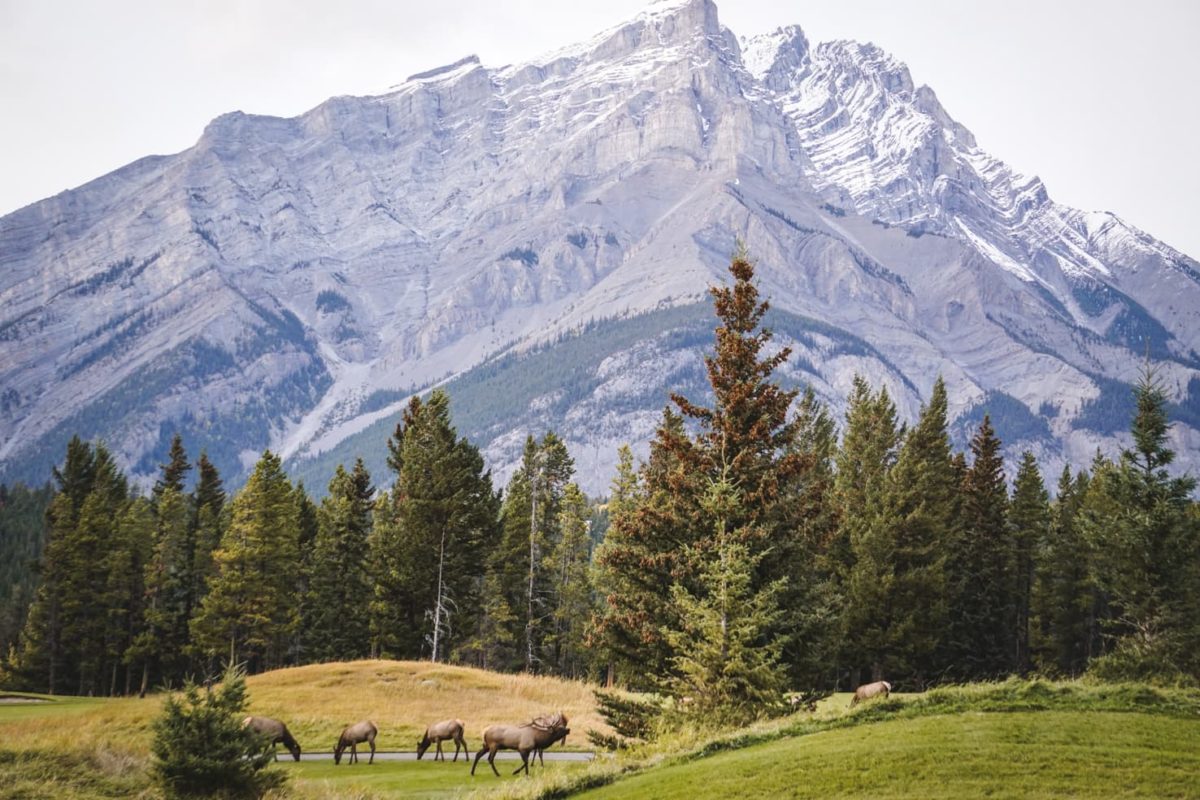 Banff banff national park.jpg
