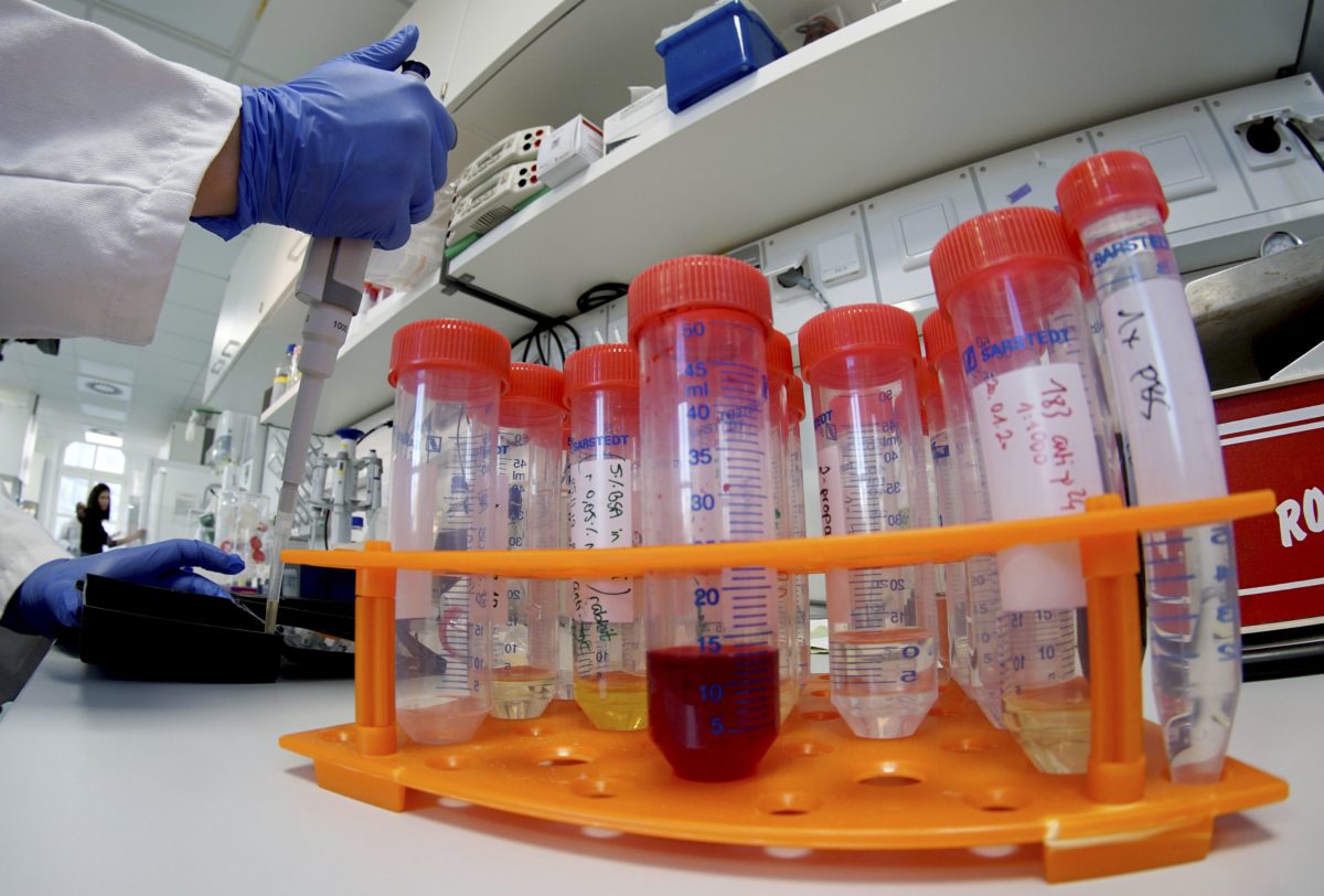 Laboratórium, koronavírus, Nemecko