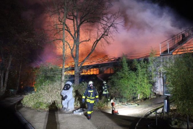 Požiar ZOO v nemeckom Krefelde