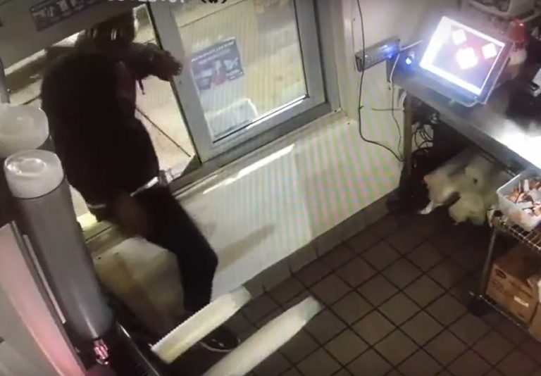 Zlodej z Taco Bell