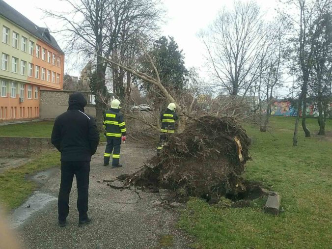 HASIČI: Popadané stromy kvôli silnému vetru