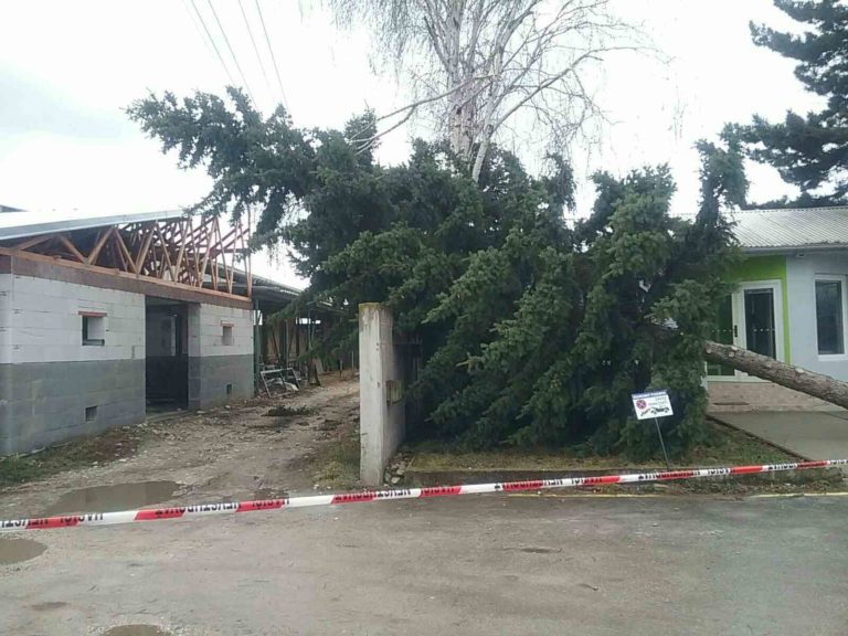 HASIČI: Popadané stromy kvôli silnému vetru