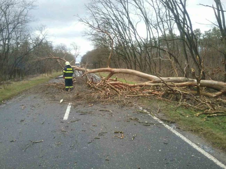 HASIČI: Popadané stromy kvôli silnému vetru
