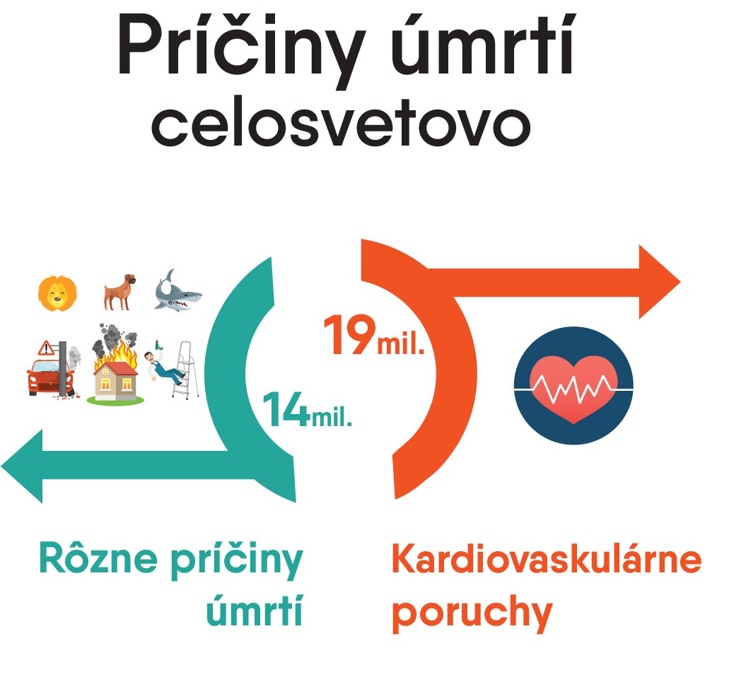 Priciny smrti_statistika.jpg
