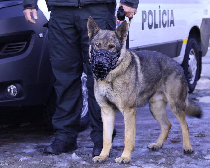Policajný psovod a pes