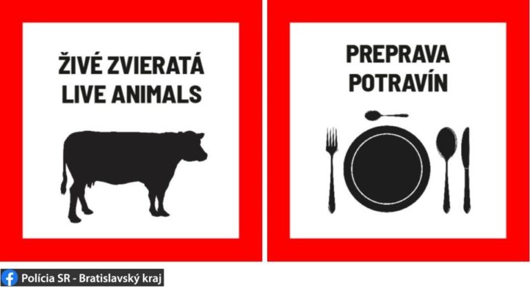 Polícia, koronavirus
