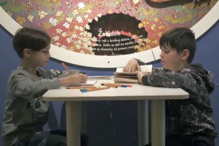 Nudch_videa_korona.jpg