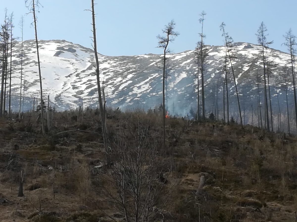 Hrebienok, lesný požiar